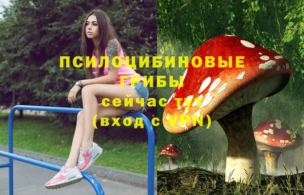 тгк Волосово