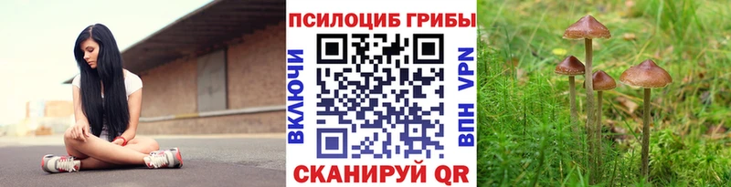 Купить где  Сергач  Псилоцибиновые грибы мухоморы 